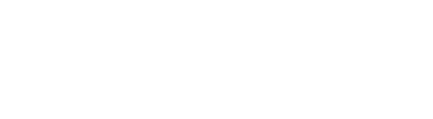 DSSF — Digital Solution & System Factory